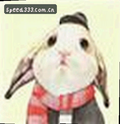 赵强
